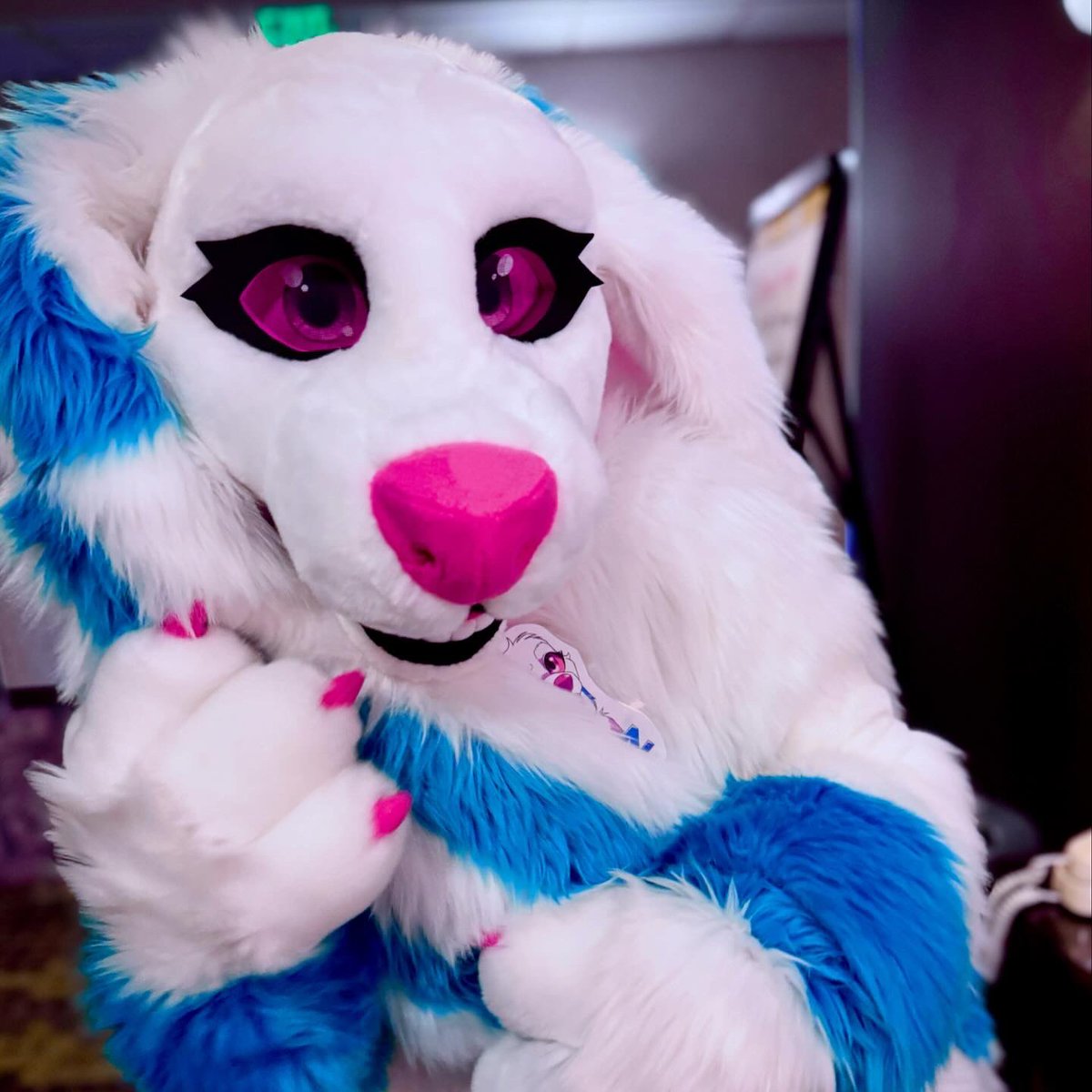 New profile picture! Gotta love those big fluffy ears.💖