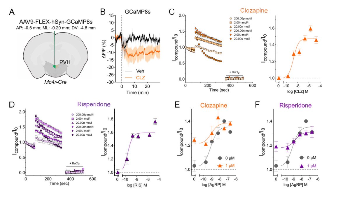 DanielJDrucker's tweet image. New mechanisms for how clozapine boosts food intake by inhibiting melanocortin 4 receptor (MC4R) expressing neurons in the paraventricular nucleus of the hypothalamus biorxiv.org/content/10.110…