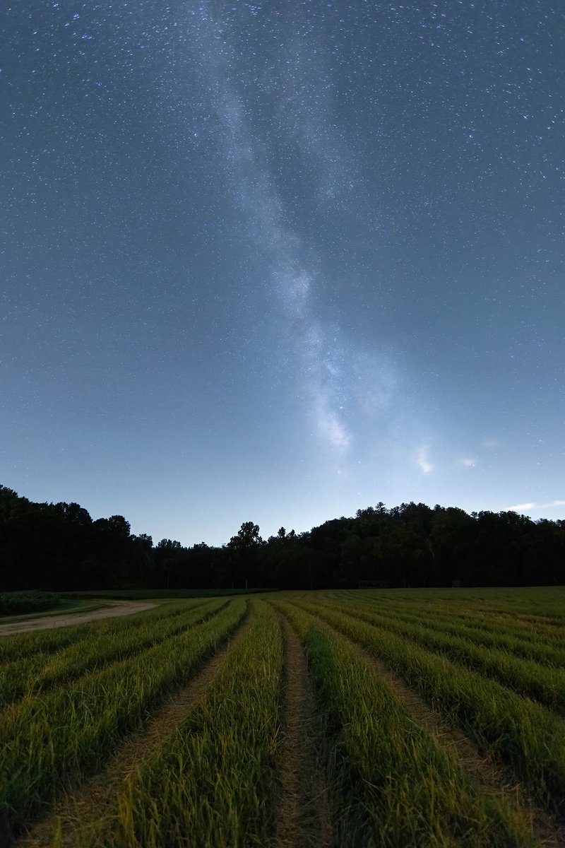 BoozerDPhoto's tweet image. The #milkyway from a recently cut hay field in the Sautee Nacoochee Valley in North Georgia.