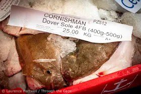 NewlynFishing's tweet photo. Homecoming of a “Cornishman” together with “Twilight” offering Monkfish’Lem/DoverSoles’ #CornishSole’ Brill’Dory!..& 7 Trawlers landing #FreshCornish PrimeMix adds 2 a Productive Monday #NewlynMkt 🐟Auction! #SupportLocalFishmongers @StevensonNewlyn @Cornishfpo @NFF_fishmongers https://t.co/dNE1Hl7eCp
