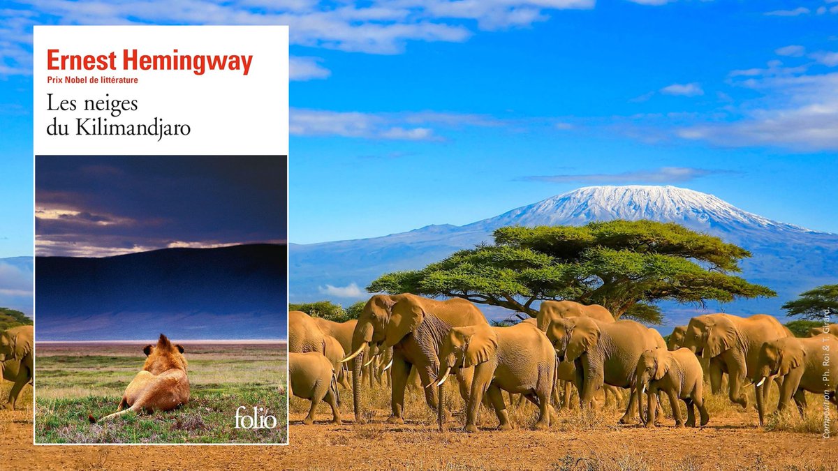 « Les neiges du Kilimandjaro » est l’œuvre d’#ErnestHemingway. Les nouvelles, qui forment ce recueil, sont des instantanés de vie qui parcourent tout le spectre des émotions humaines. L’auteur écrit avec ses tripes et certains passages peuvent choquer certaines sensibilités.