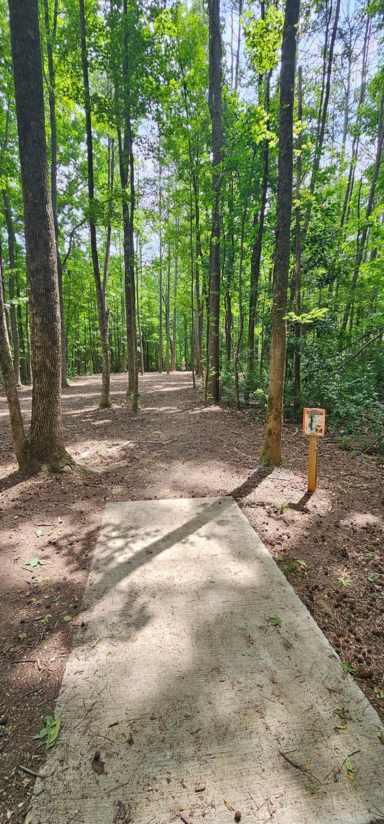 HEX_Manifesto's tweet photo. A rare non pokemon related post. Today I got my first Ace in disk golf. Par 3 hole 6 eastway clt NC. Been playing for many years as a filthy casual. It felt really good. #diskgolf #beastway https://t.co/r3iUF5Z9l1