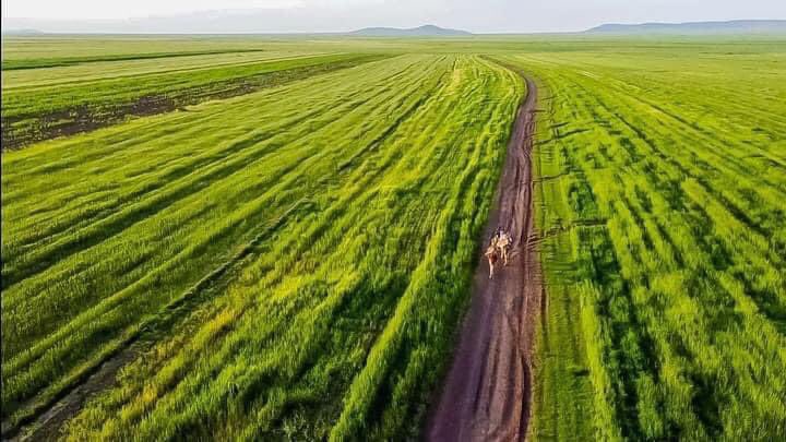 dessalegnmanaye's tweet photo. The Future of #Ethiopia: agricultural transformation for #self-reliance. #foodsecurity
#importsubstitution
#increasingexport
#jobcreation
Cluster farming is a foundation for Agricultural modernization and mechanization.
@EthioJourney
@Agriculfuture https://t.co/pz4E9EFlay