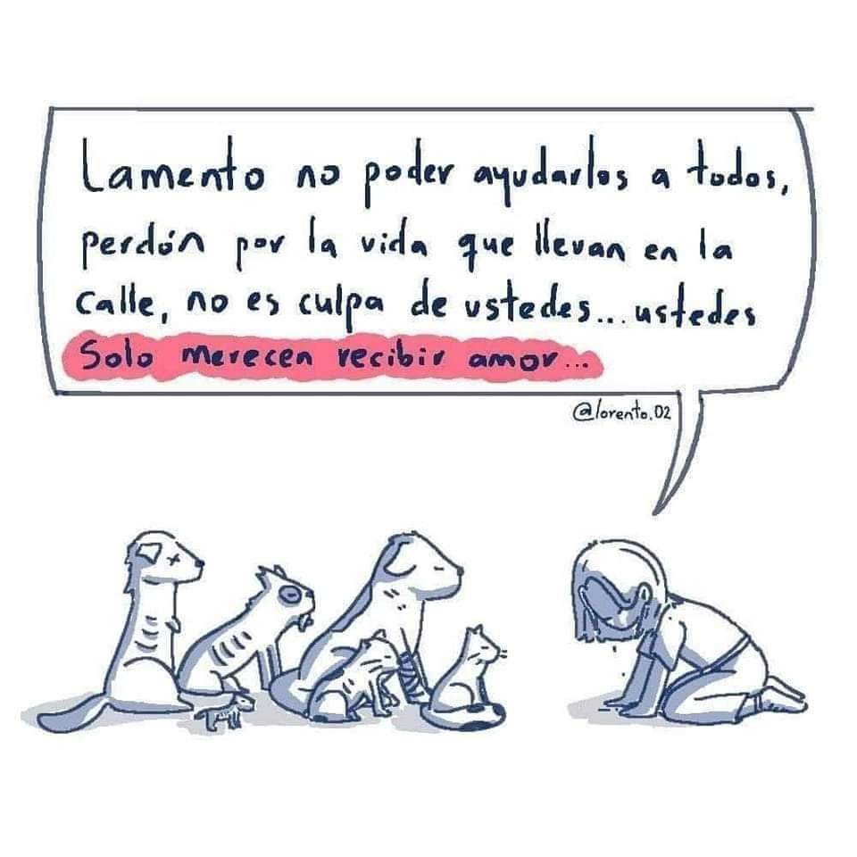textosnublados's tweet photo. Ustedes solo merecen recibir amor... https://t.co/KBfk0VAQj6