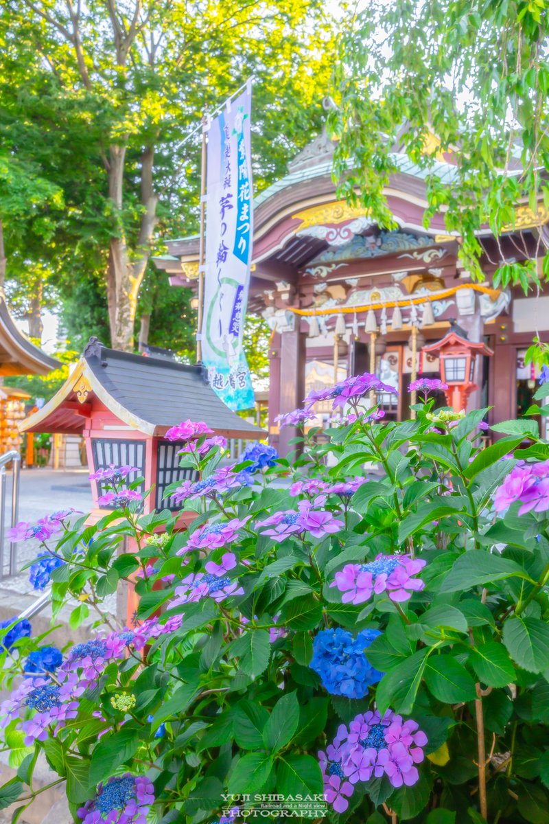 Yuji_48 tweet picture