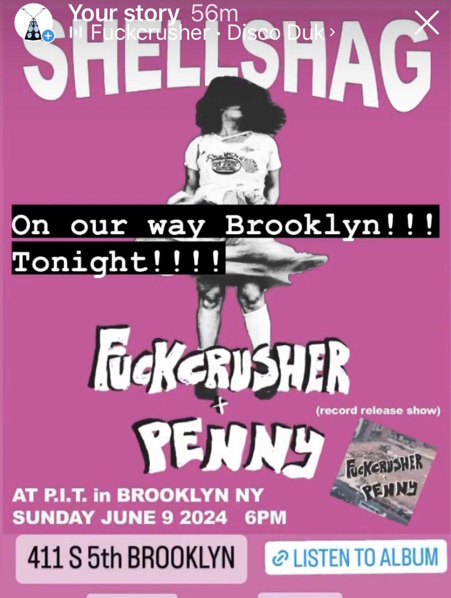 shellshag tweet media