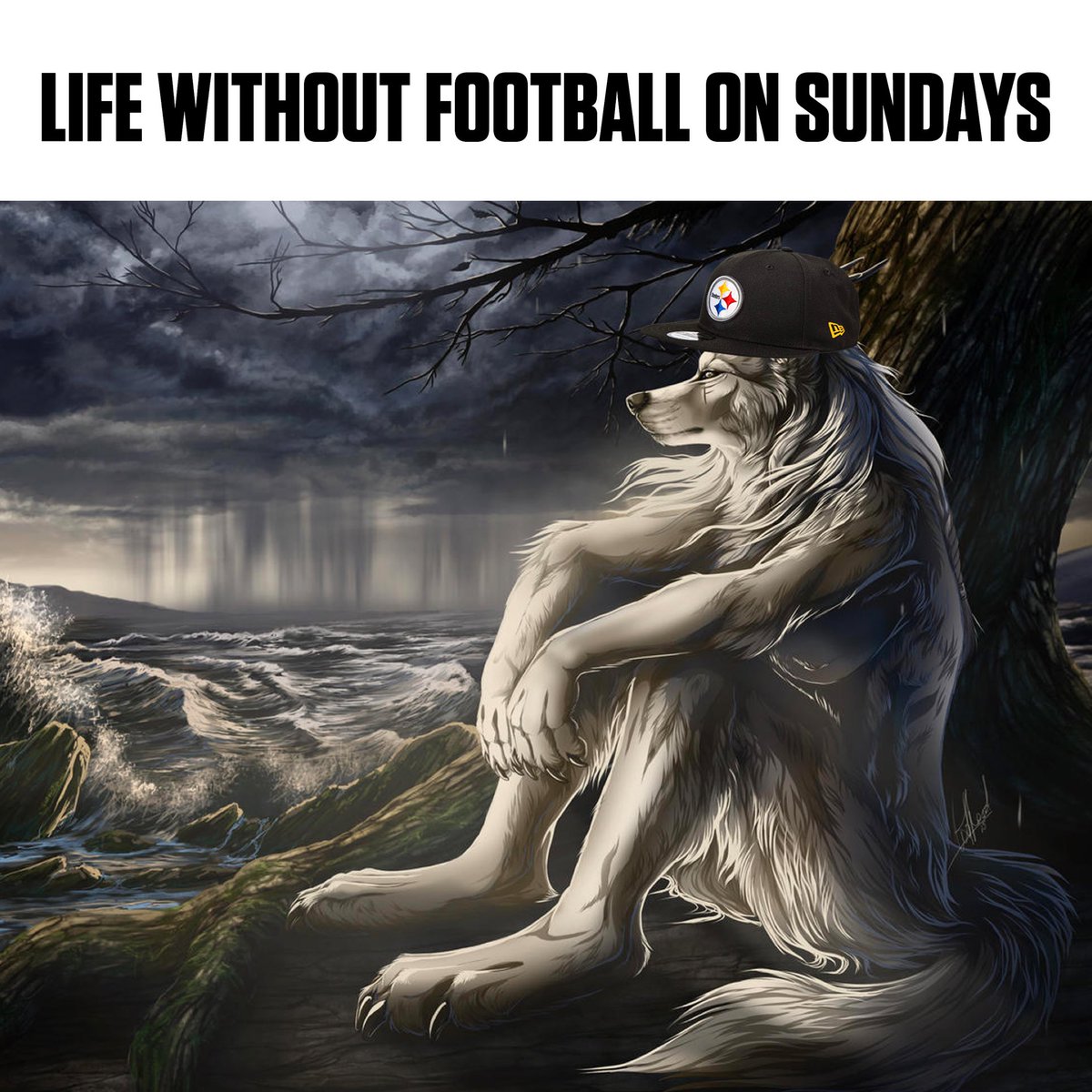 steelers's tweet photo. Literally me https://t.co/2QRThP1TMk