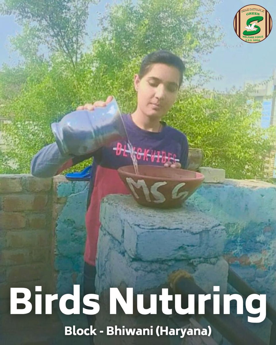 GreenSwelfares's tweet photo. Shah Satnam Ji Green ’S’ Welfare Force Wing volunteers are giving our feathered friends a helping wing this summer! They've set up bird baths and clay feeders on their terraces, balconies, and porches, creating cool oases with refreshing hydration and nourishment for the birds to beat the scorching summer heat. #BirdCare #SummerSupport #DeraSachaSauda