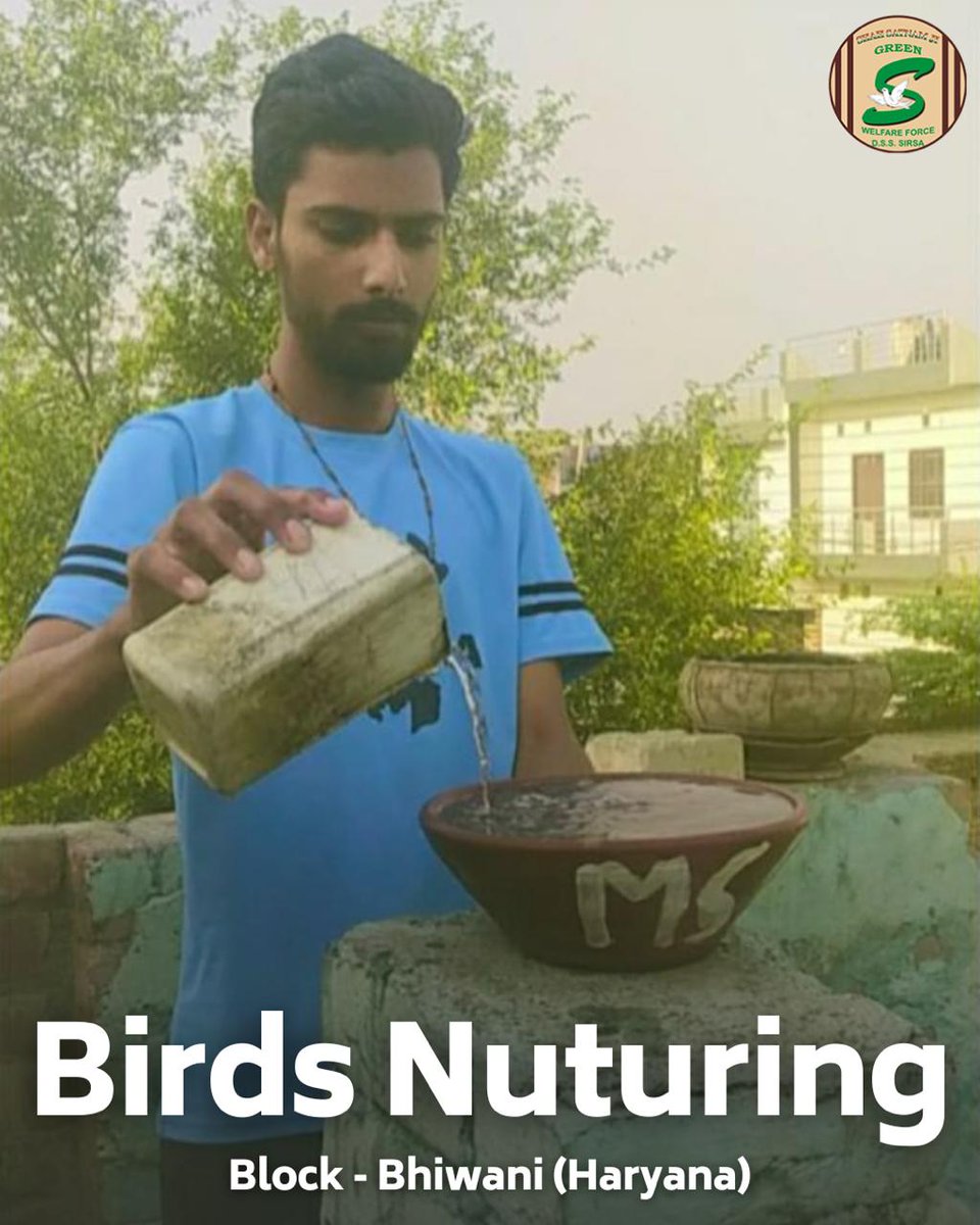GreenSwelfares's tweet photo. Shah Satnam Ji Green ’S’ Welfare Force Wing volunteers are giving our feathered friends a helping wing this summer! They've set up bird baths and clay feeders on their terraces, balconies, and porches, creating cool oases with refreshing hydration and nourishment for the birds to beat the scorching summer heat. #BirdCare #SummerSupport #DeraSachaSauda