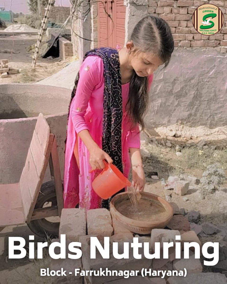 GreenSwelfares's tweet photo. Shah Satnam Ji Green ’S’ Welfare Force Wing volunteers are giving our feathered friends a helping wing this summer! They've set up bird baths and clay feeders on their terraces, balconies, and porches, creating cool oases with refreshing hydration and nourishment for the birds to beat the scorching summer heat. #BirdCare #SummerSupport #DeraSachaSauda