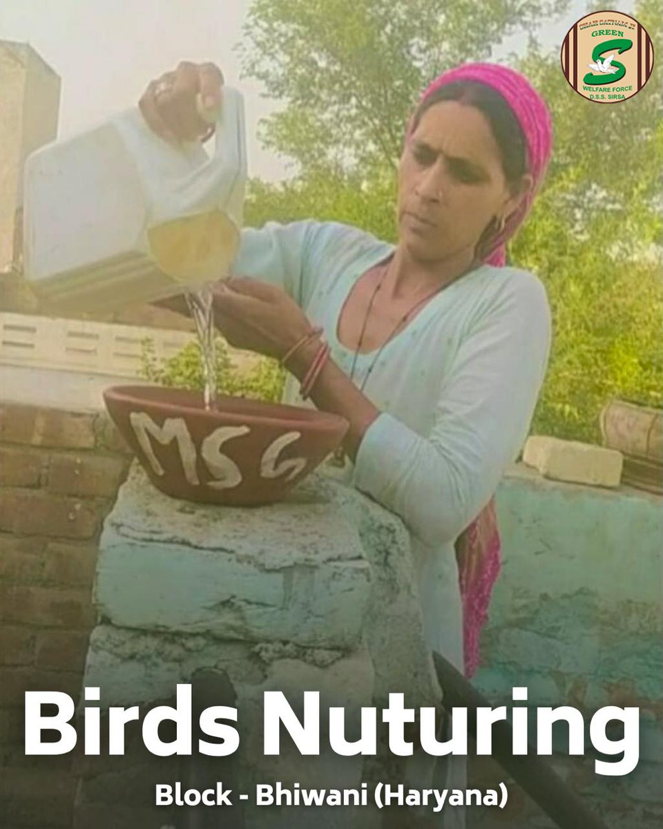 GreenSwelfares's tweet photo. Shah Satnam Ji Green ’S’ Welfare Force Wing volunteers are giving our feathered friends a helping wing this summer! They've set up bird baths and clay feeders on their terraces, balconies, and porches, creating cool oases with refreshing hydration and nourishment for the birds to beat the scorching summer heat. #BirdCare #SummerSupport #DeraSachaSauda