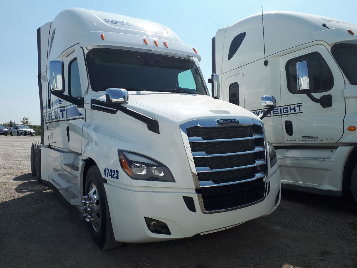WayfreightTruck's tweet photo. It's a beautiful day in the neighbourhood. 

It's even nicer with fresh clean trucks and a little sunshine. Shoutout to summer for being a thing. 🌞 

#trucking #truckinglife #weekendvibes #cleantrucksgofaster #wayfreight https://t.co/IyObplFCR3