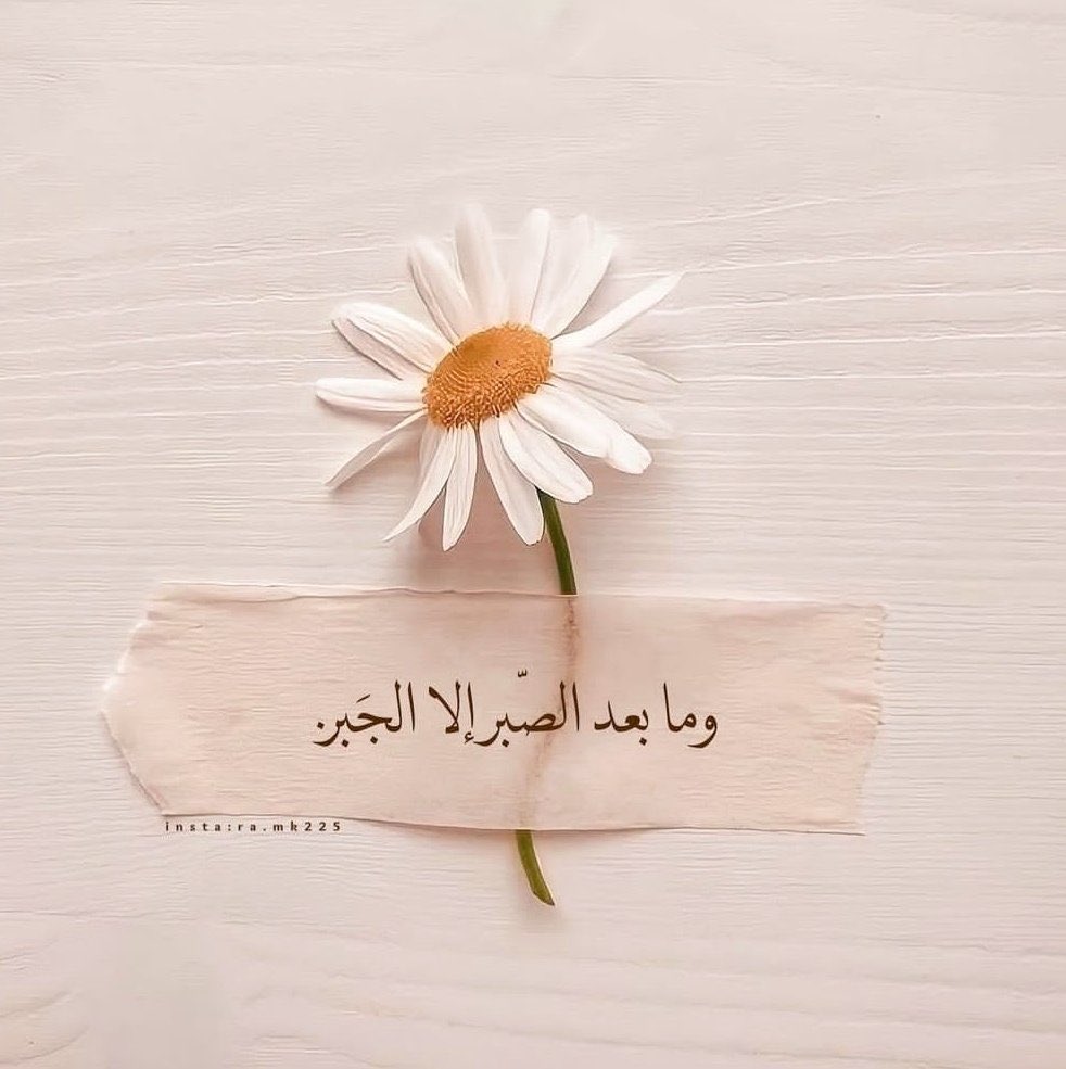 sayedmahran65's tweet photo. https://t.co/e8LeR6CV9S