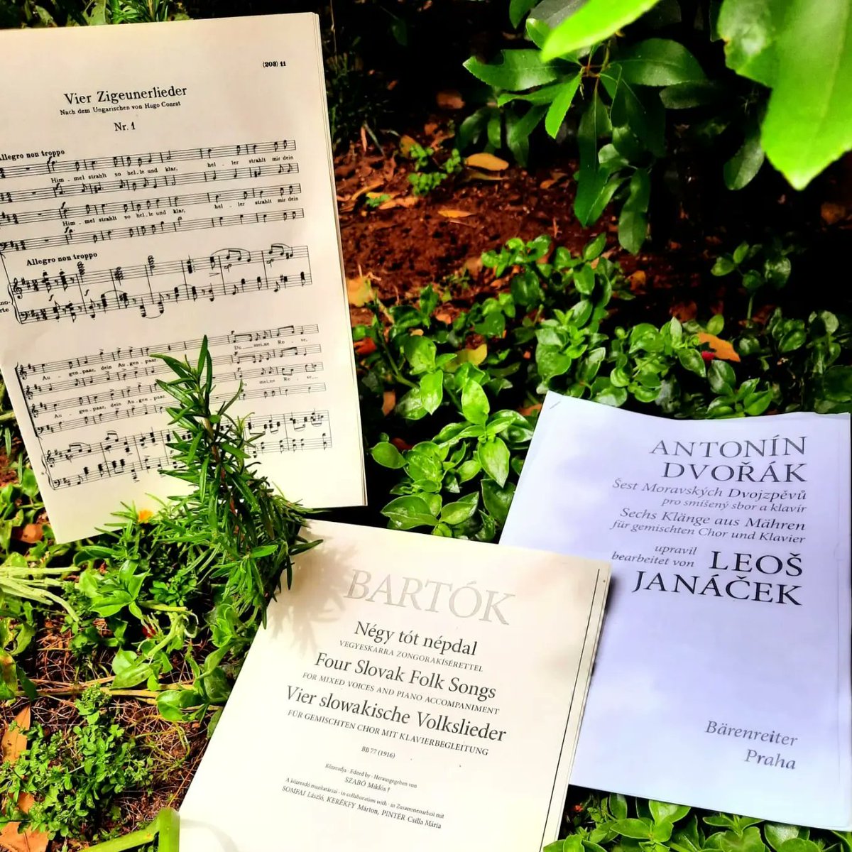 Cor Madrigal (@cormadrigal) on Twitter photo Reserveu la data!
Gaudirem de la música coral acompanyats al piano de l'amic i compositor <a href="/guinovartalbert/">Albert Guinovart</a> sota la direcció de <a href="/perelluis_/">Pere Lluís Biosca</a>
Diumenge 30 de juny, 19h
Auditori Eduard Toldrà Conservatori Bcn
Obres de Guinovart, Brahms, Schumann, Dvořák i Bartók
<a href="/AgrCorMadrigal/">Agrupació Cor Madrigal</a> Reserveu la data!
Gaudirem de la música coral acompanyats al piano de l'amic i compositor <a href="/guinovartalbert/">Albert Guinovart</a> sota la direcció de <a href="/perelluis_/">Pere Lluís Biosca</a>
Diumenge 30 de juny, 19h
Auditori Eduard Toldrà Conservatori Bcn
Obres de Guinovart, Brahms, Schumann, Dvořák i Bartók
<a href="/AgrCorMadrigal/">Agrupació Cor Madrigal</a>