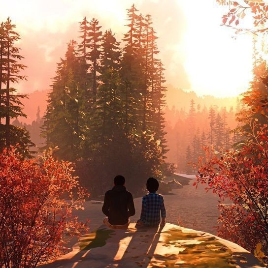 ¿vic? number 1 exy fan tweet media