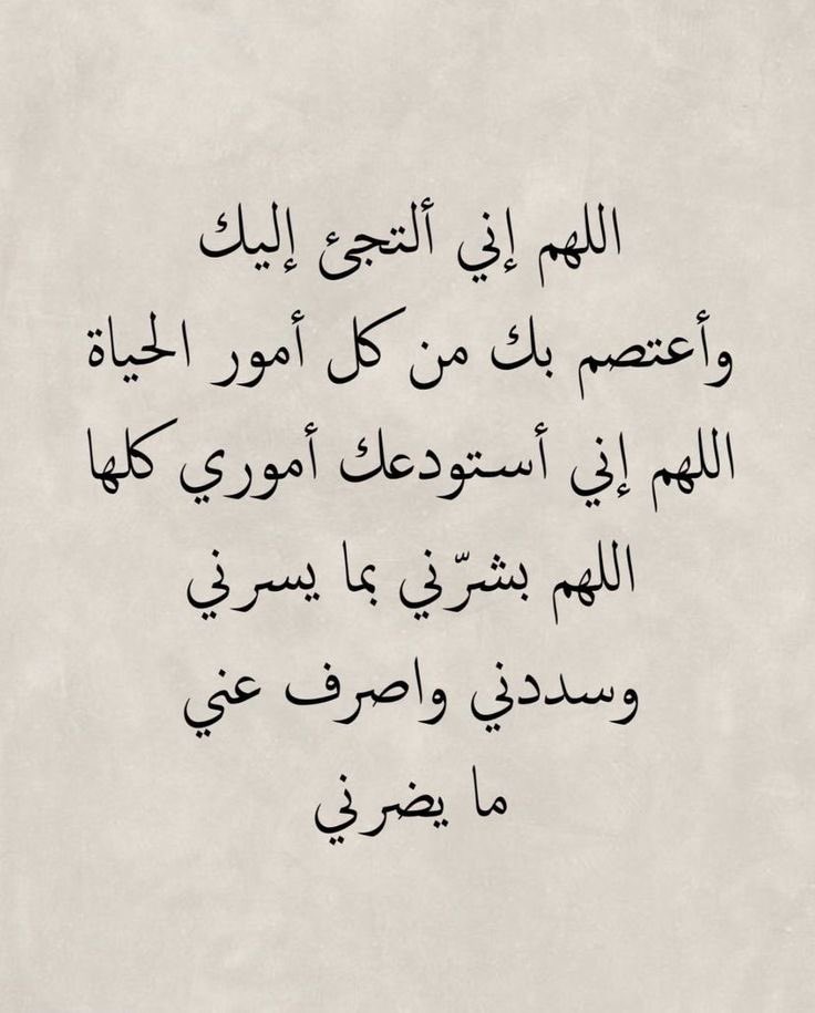 qalcc's tweet image. 