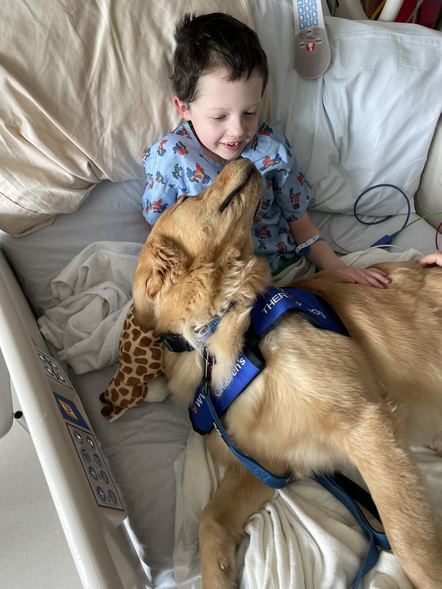 TheArtieMoore's tweet photo. Been a long week in the hospital for the warrior. Added to his list of battle scars include a reconstructed cleft palate & pharyngeal flap insert (with 3 sets of mouth stitches) along with a g-tube. Hard times come and hard times go. Don’t sweat the small stuff. #ItsAHelluvaLife https://t.co/Zrk6cxjfvU