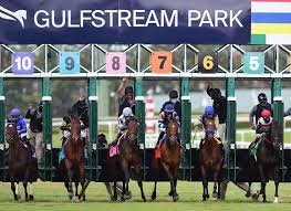 lotohipico's tweet photo. #DOMINGO #Junio09. 2024. #GulfstreamPark #AMERICANAS #hipismo @DerbyNoqueador
Asesoría +58 4248131900.
✔️SEGUNDA CARRERA: 7-1. 🏇👊 https://t.co/rXNtYbDqi4