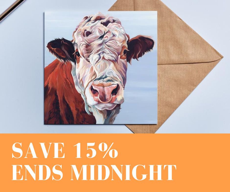 15% off shop wide. Don’t miss out!