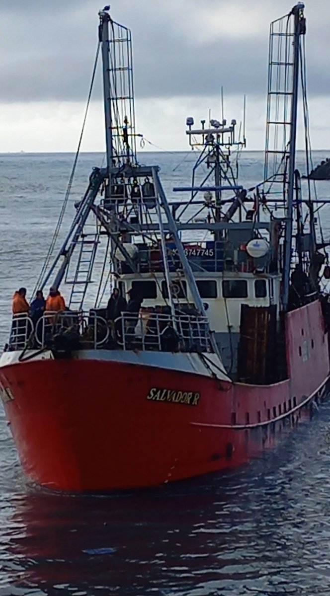 Suchojuan's tweet photo. 🇦🇷 Fuerza Comodoro 🇦🇷 #Langostino #Patagonia @gustamenna https://t.co/5r2ED882zU