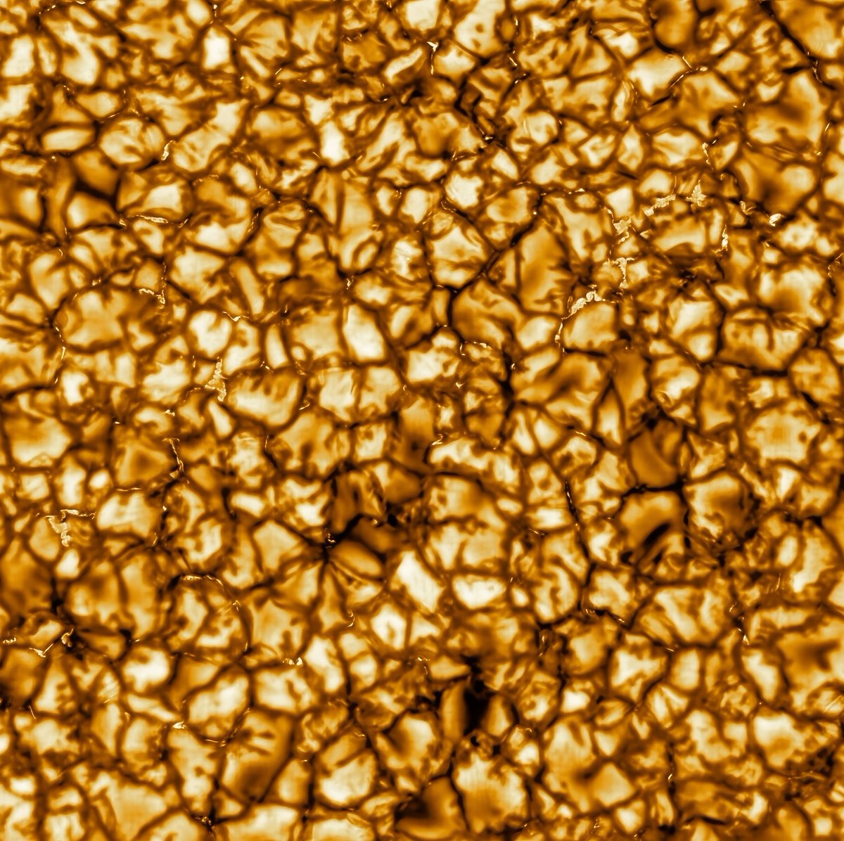 CuriosityonX's tweet photo. The most detailed photograph of the Sun ever obtained.  ⤵️ https://t.co/qFAfg9hcG2