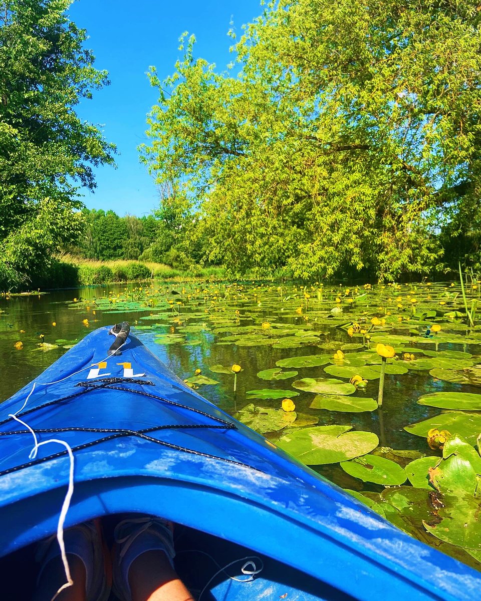 BornToBeIronman's tweet photo. Weekend bez biegania też może być aktywny i przyjemny 😎☀️🌳
#kajaki #przyroda #weekend https://t.co/MAdPQD8ikd