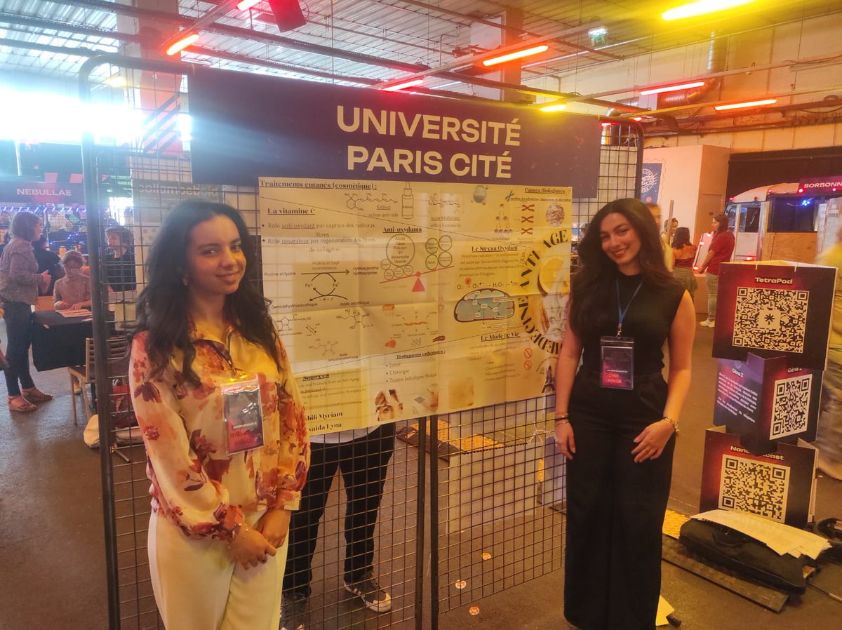 Team IMM tweet media