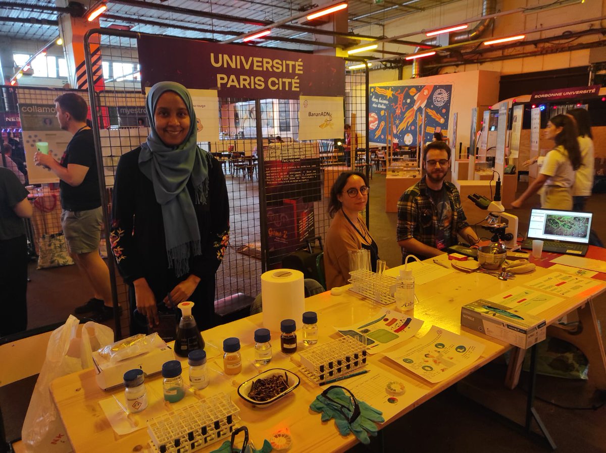 Team IMM tweet media