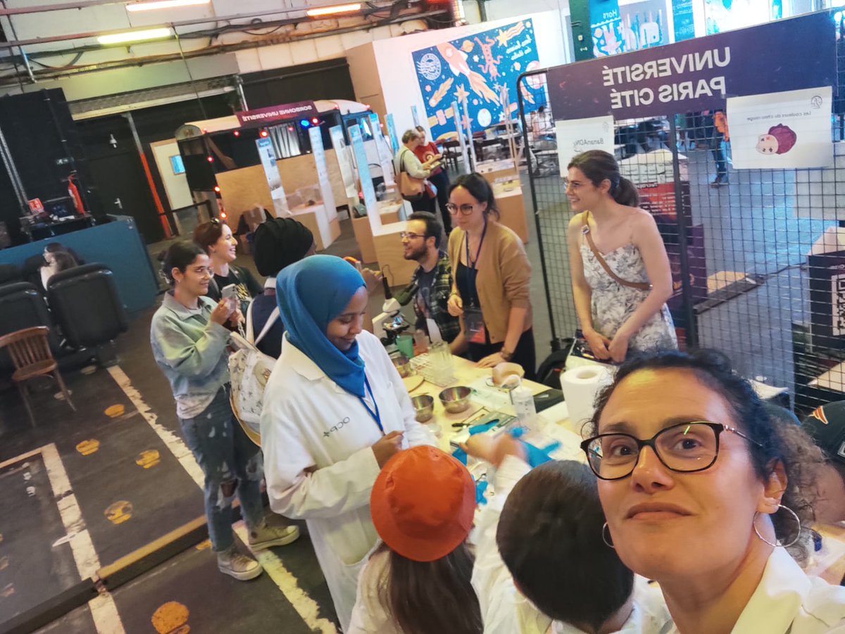 Team IMM tweet media