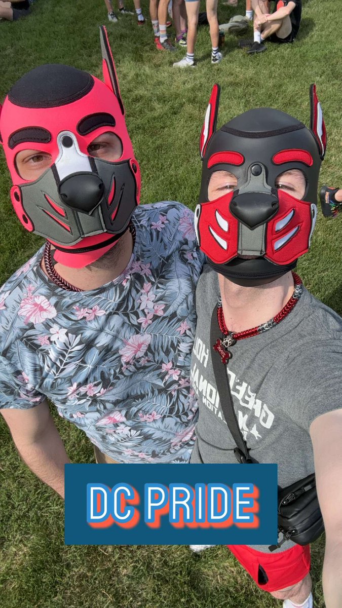 Pup Zero 🐾 tweet media
