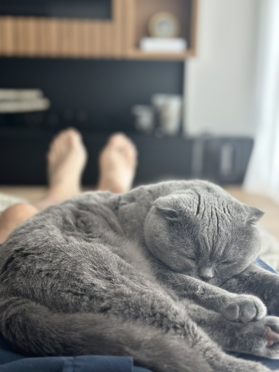 vegetta777's tweet photo. Ya estoy de nuevo en casita 🤗 https://t.co/jJk36CbP4v
