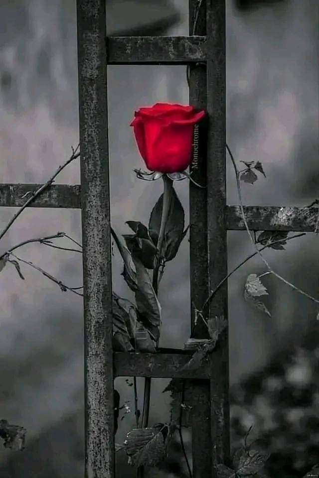 seven (@sbabasma) on Twitter photo 