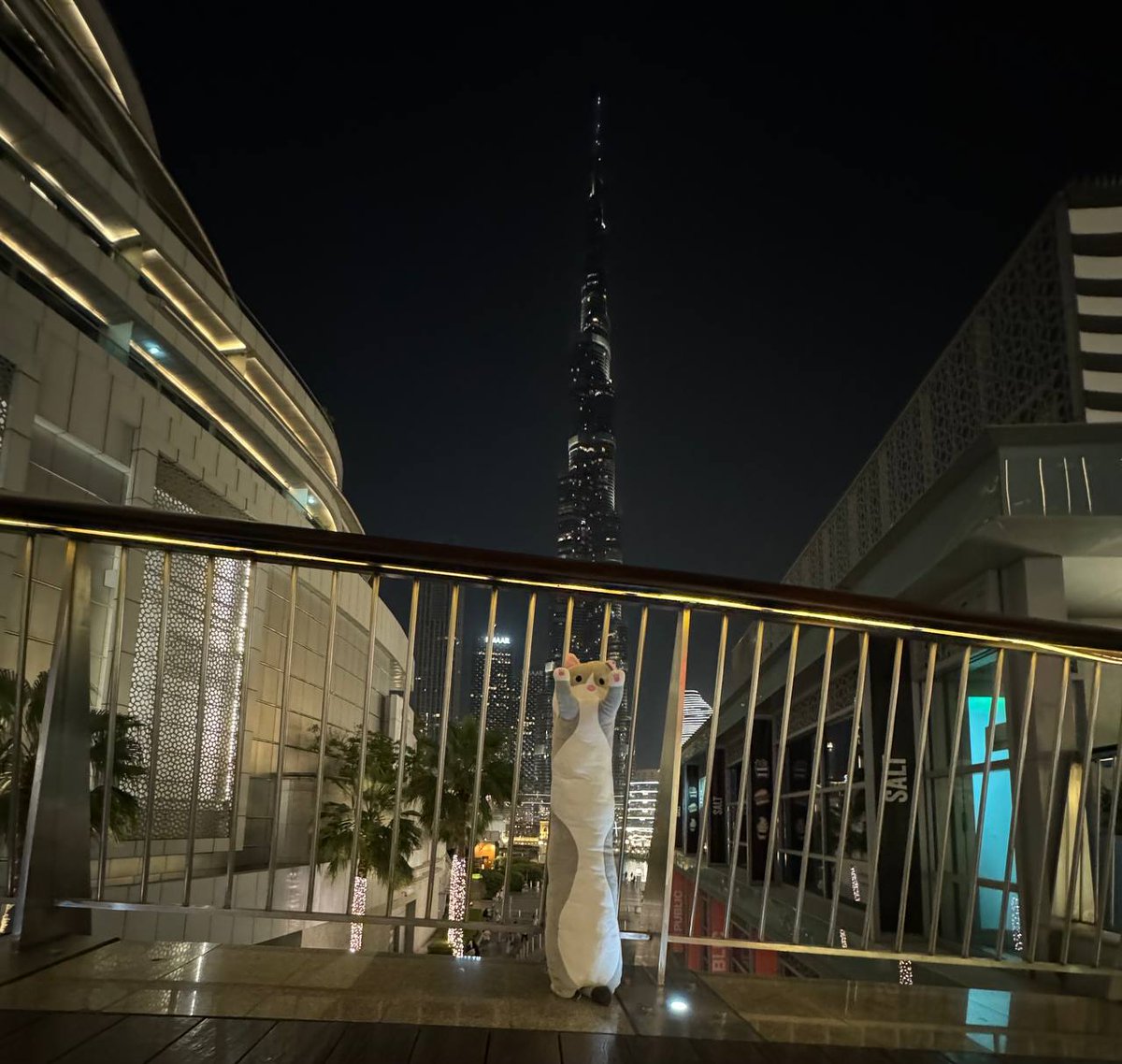 NobikoCoin's tweet photo. I chilled in Dubai today, took a selfie with the Burj Khalifa.

Casually hit another all time high, AGAIN. 

Have you seen my chart? My ticker is $LONG and we are in a bull market. 

I have wrecked the cabbage hands day after day. Anyway. Meow. 

AYABiqKuTh9Va5Aqc6AujFevHwDGmECGQiFmKW5g3K4Z