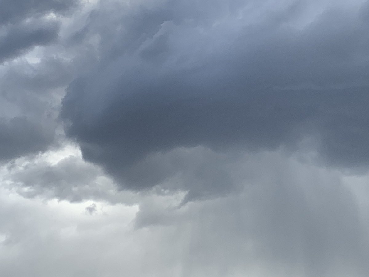 CrystalAnd22350's tweet image. Some pictures from my yard yesterday in Brighton #COwx