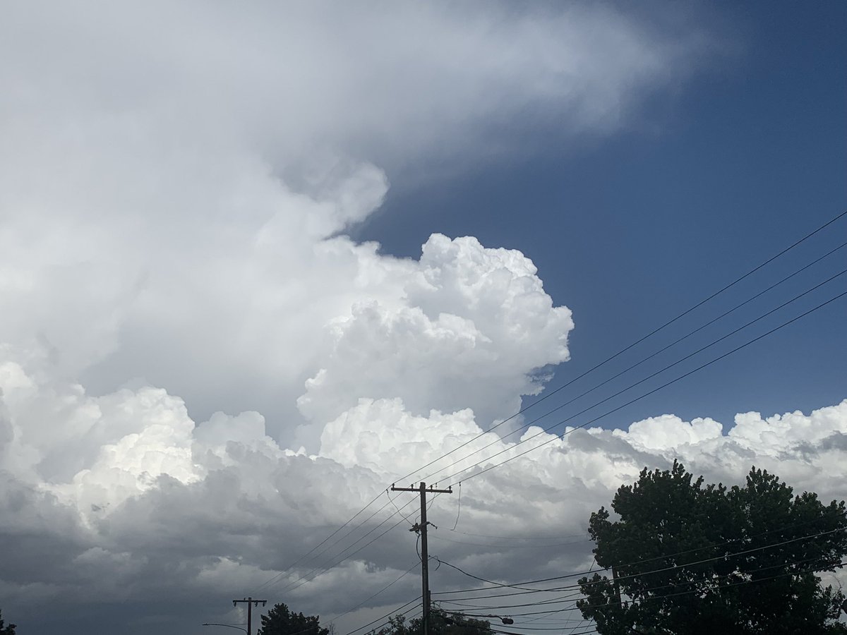 CrystalAnd22350's tweet image. Some pictures from my yard yesterday in Brighton #COwx