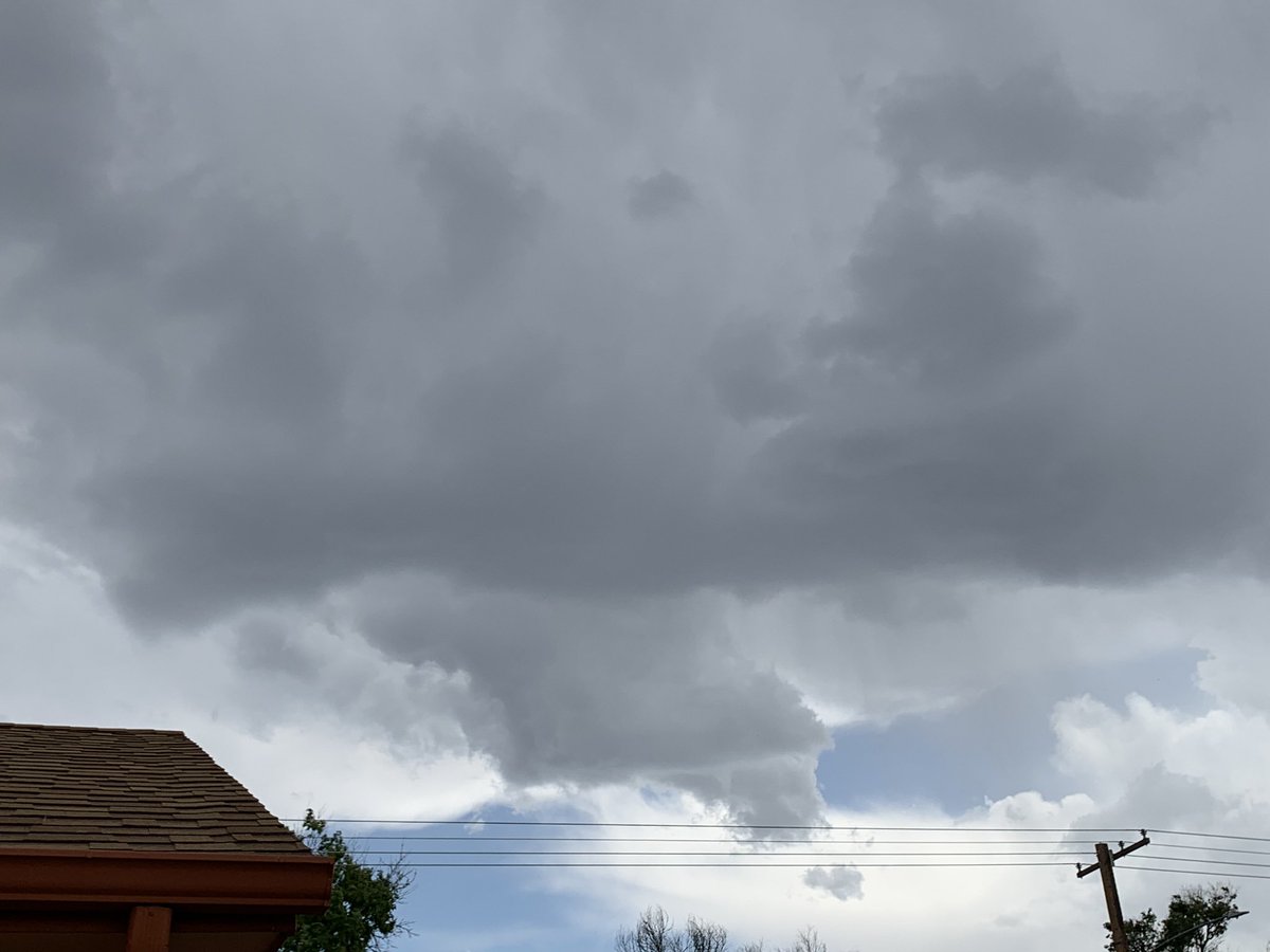 CrystalAnd22350's tweet image. Some pictures from my yard yesterday in Brighton #COwx