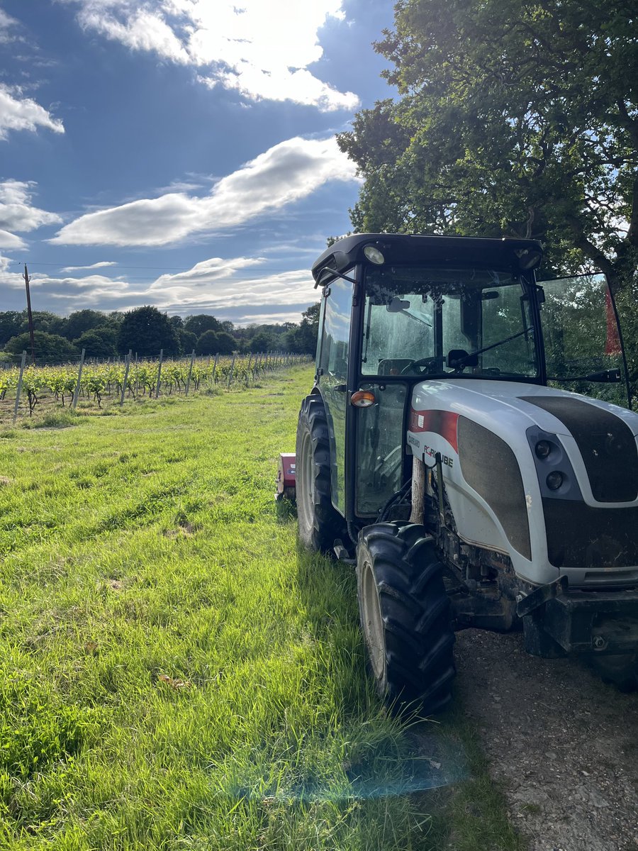 OffTheLine tweet media