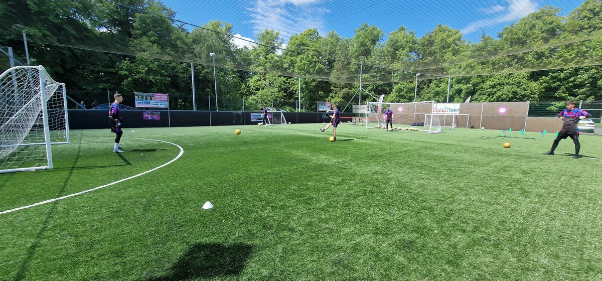 Evolution Goalkeeping Academy tweet media