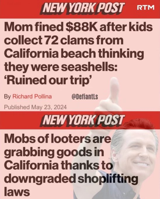 Wall Street Mav tweet media