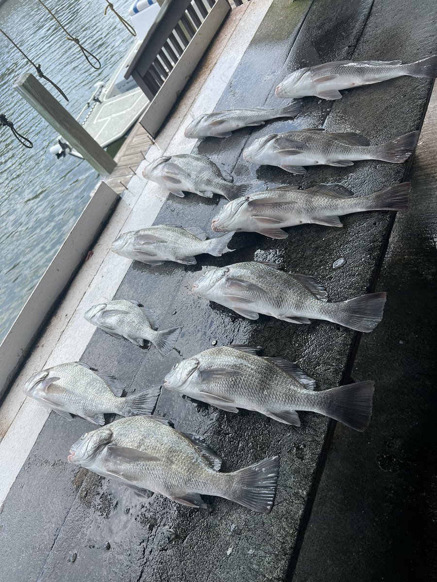 Coach Villarreal, M.Ed tweet media