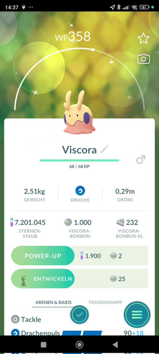 ChampDelion312's tweet photo. Die Familie soweit zusammen bekommen als Shiny und ein Hunderter gab es auch noch den ich natürlich gleich wegen der Community Day Attacke entwickelt habe 😀🍀
#PokemonGo #PokemonGoCommunityDay #ShinyPokemon https://t.co/lQxxG5Mjku