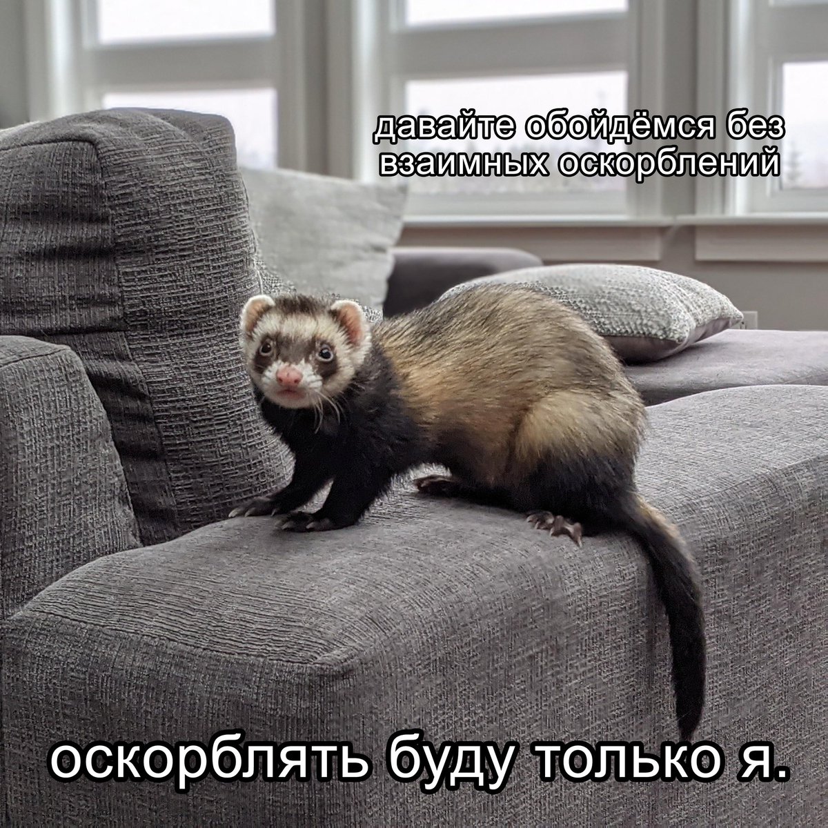 Мой любимый мем, господа
