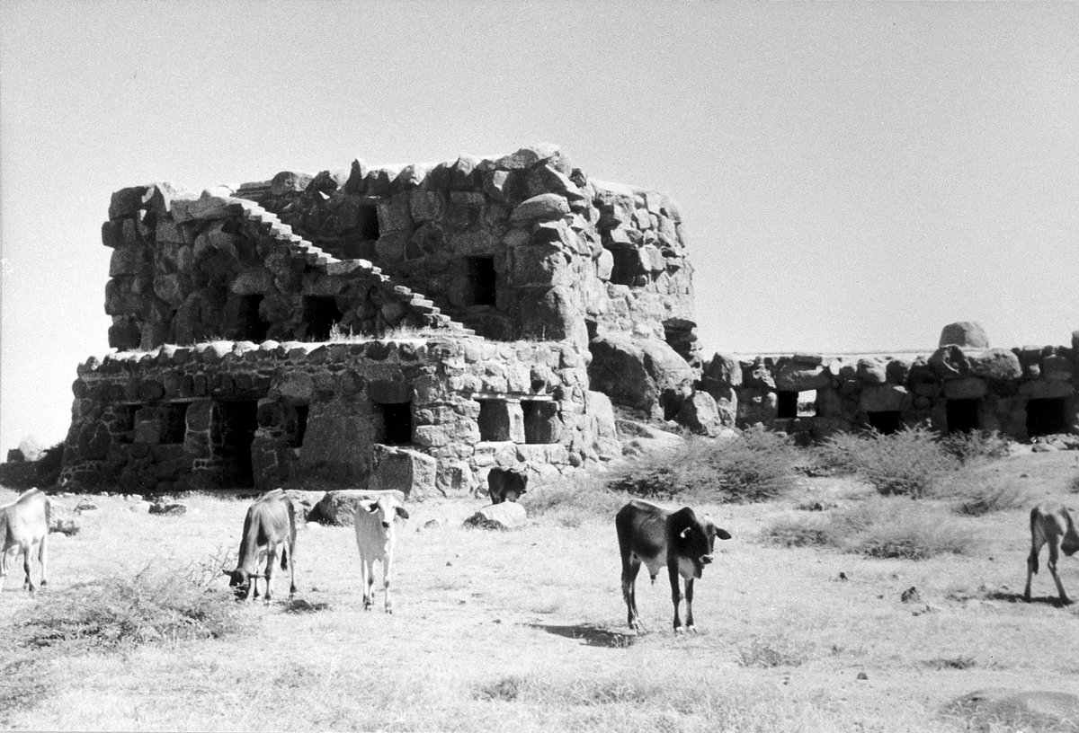 Masisi2021's tweet image. #Funj #Sennar 👌