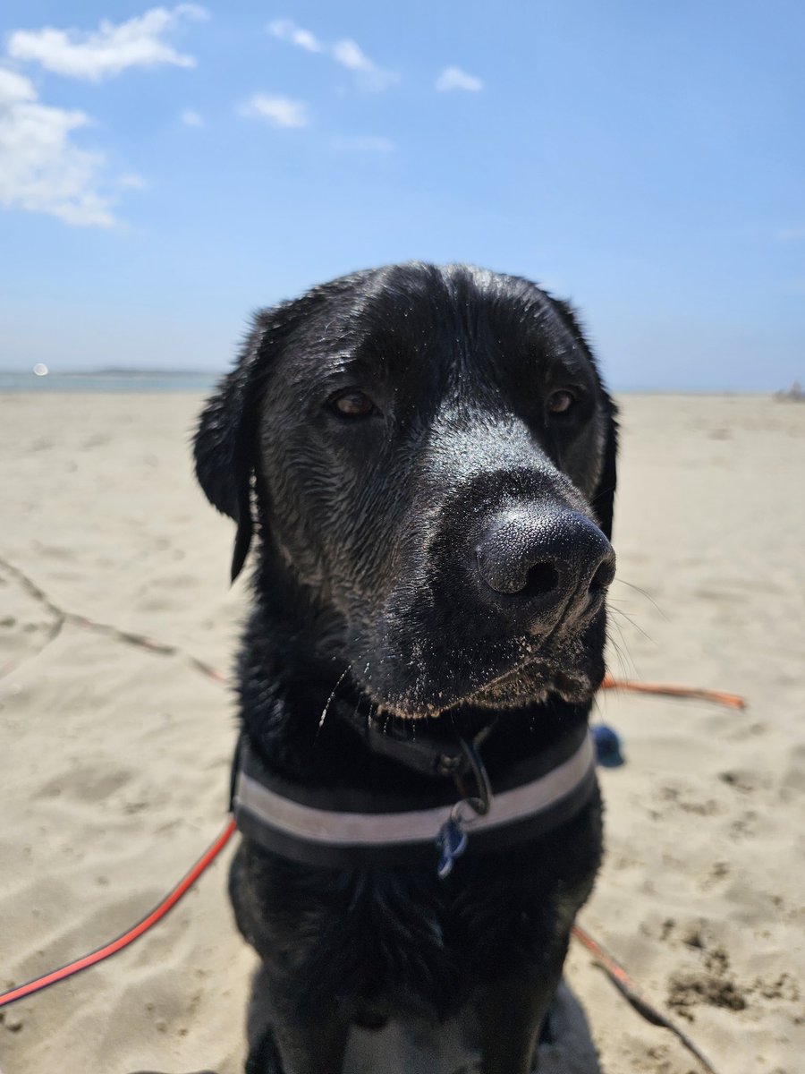 Obi Wong & Mrs Wong tweet media