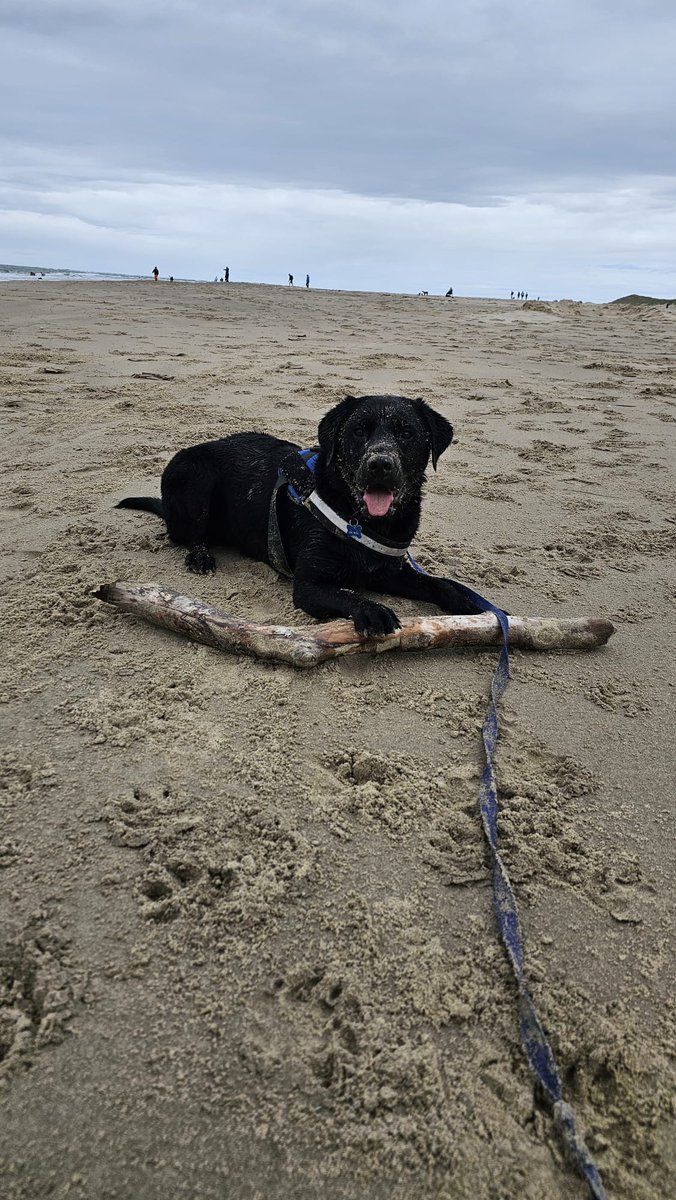 Obi Wong & Mrs Wong tweet media