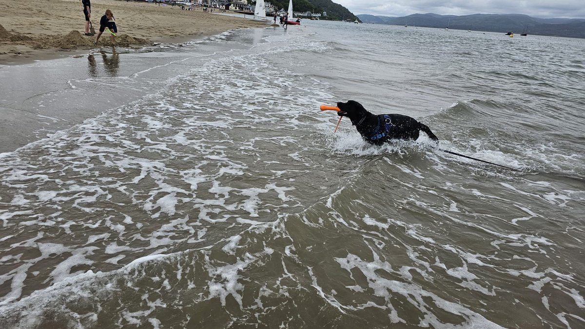 Obi Wong & Mrs Wong tweet media