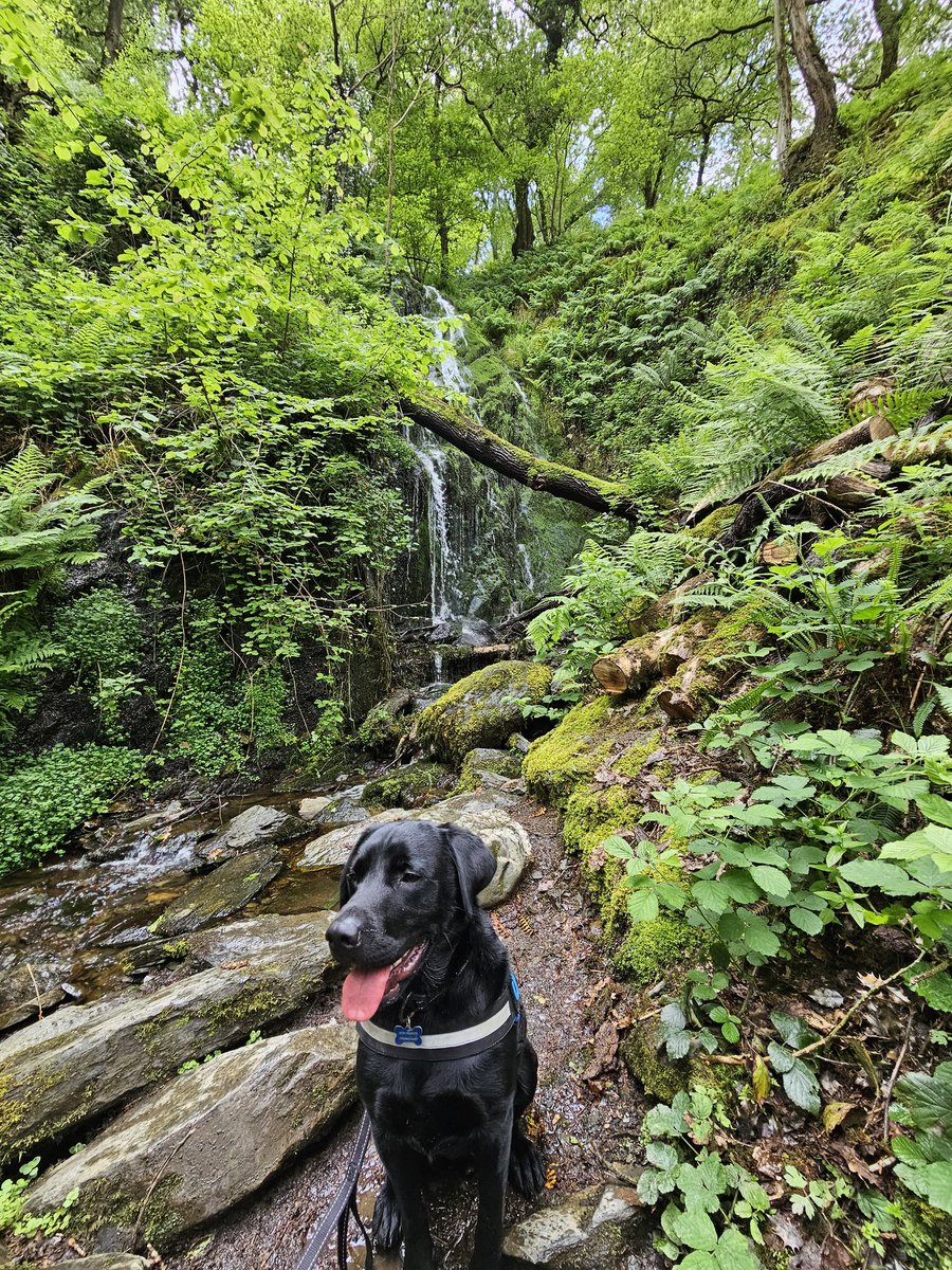 Obi Wong & Mrs Wong tweet media