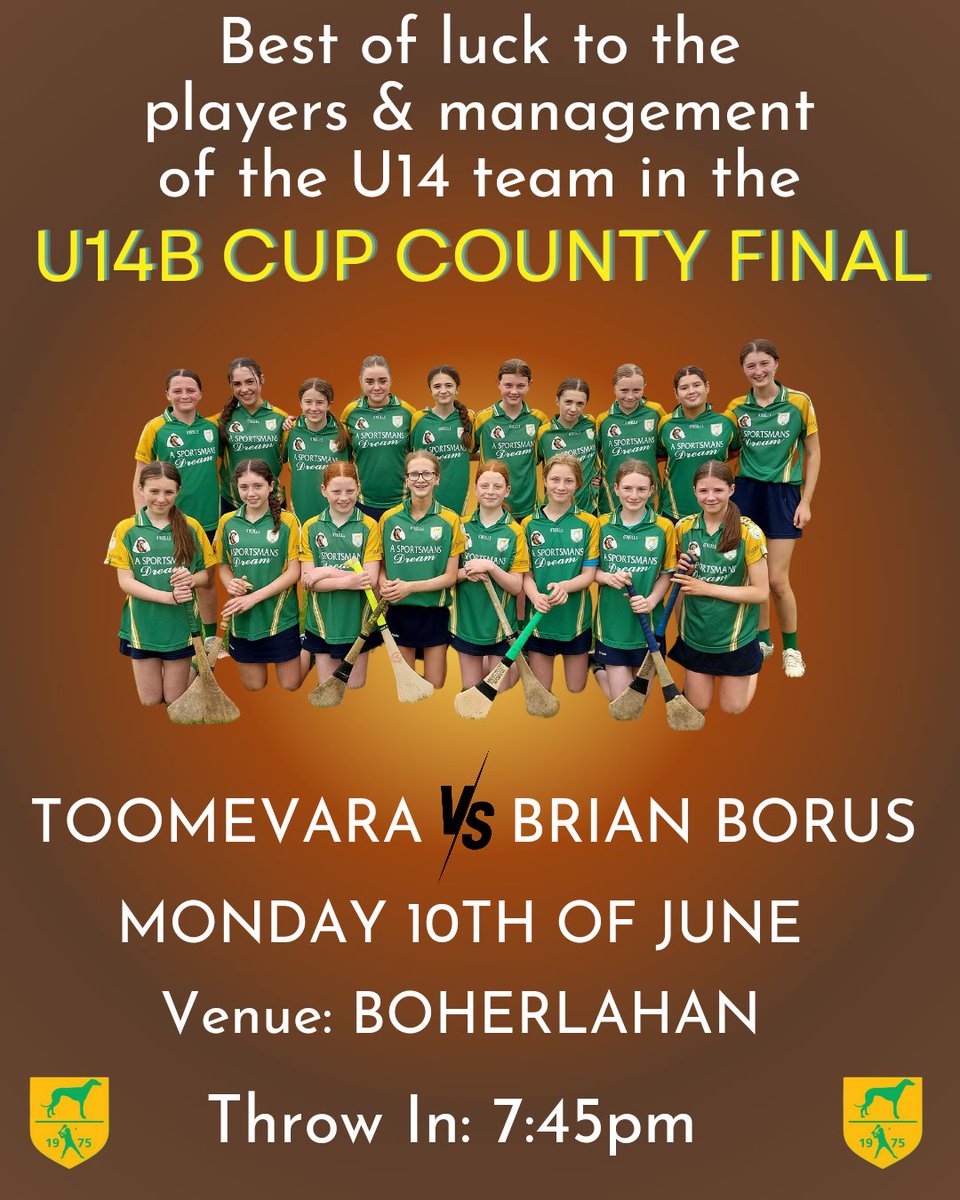 Toomevara Camogie tweet media