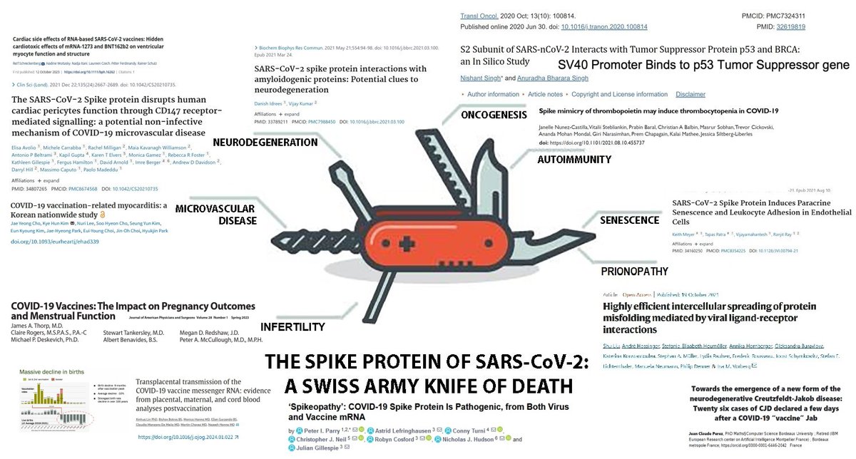 BlackTomThePyr8's tweet photo. It's not just COVID, Laura, but a specific part of COVID - the very specific part we based our COVID vaccines upon: the COVID spike protein.
It's a bio-weapon.
It's partly HIV-based.
And the 4 HIV inserts pictured below, are all preserved in the vaccine-induced spike protein. https://t.co/1v195FpUVJ
