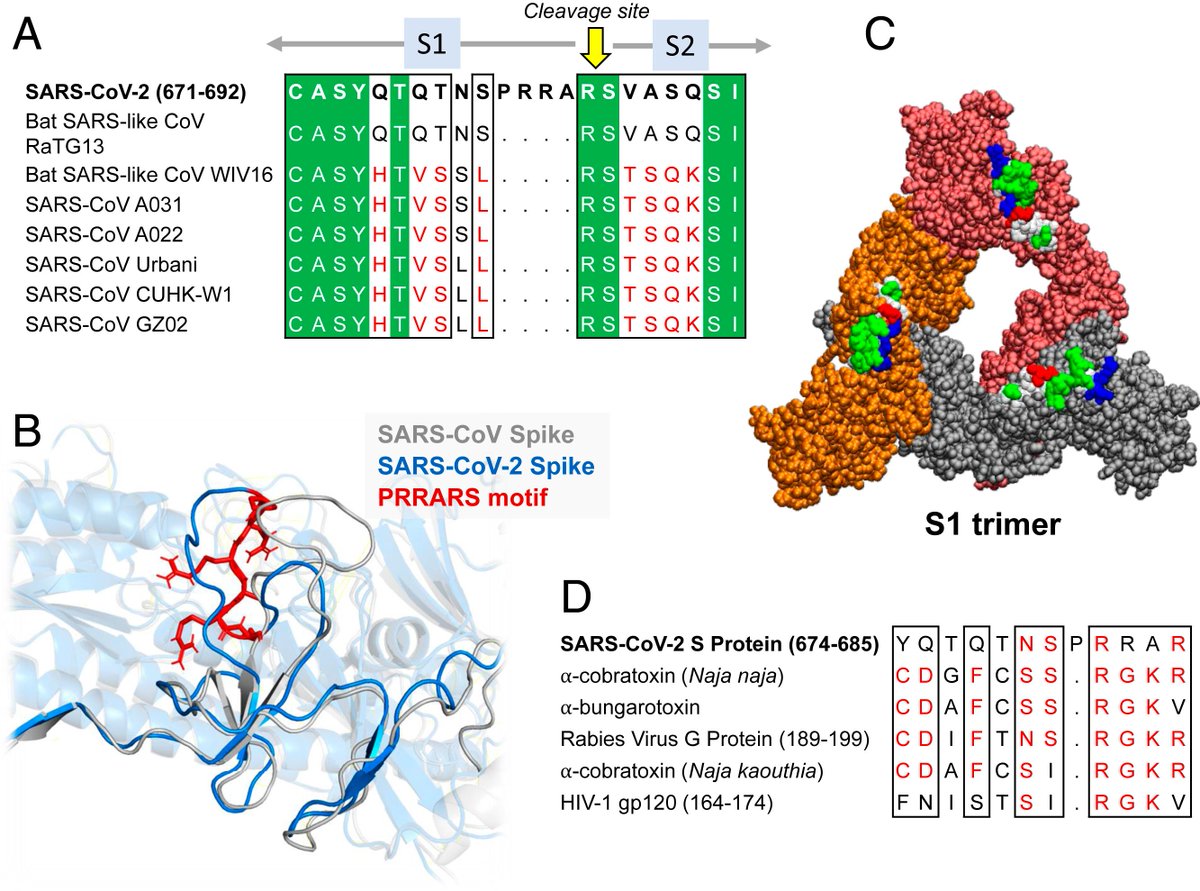BlackTomThePyr8's tweet photo. It's not just COVID, Laura, but a specific part of COVID - the very specific part we based our COVID vaccines upon: the COVID spike protein.
It's a bio-weapon.
It's partly HIV-based.
And the 4 HIV inserts pictured below, are all preserved in the vaccine-induced spike protein. https://t.co/1v195FpUVJ